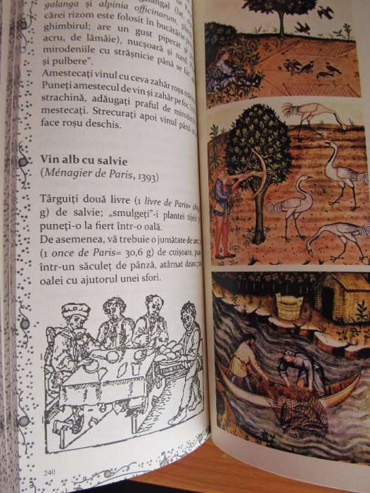 NOU Bucătării medievale europene de Radu Anton Roman