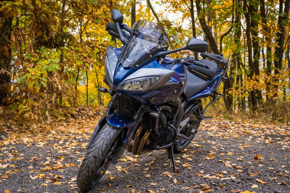 Yamaha Fazer FZ6 S2 2009