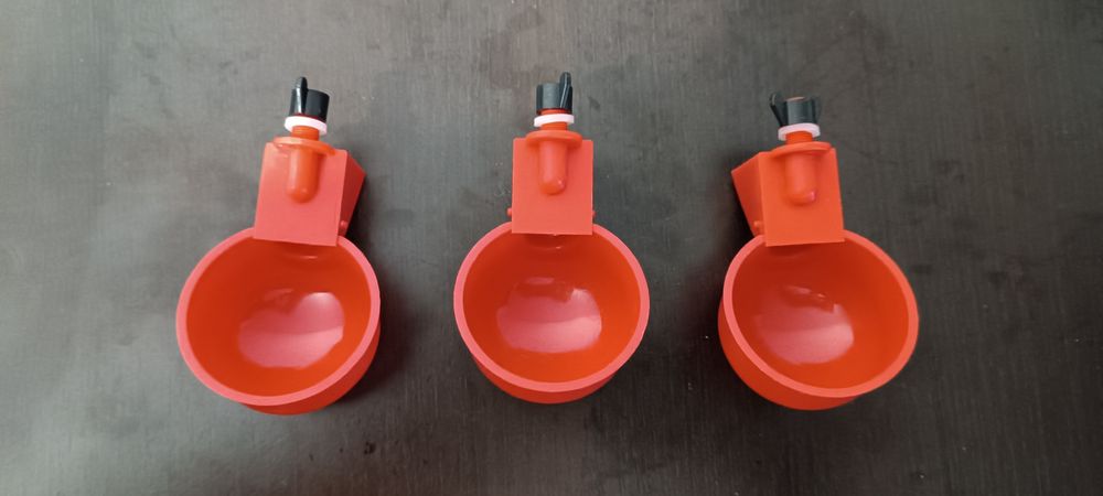 Adapatoare pui și păsări