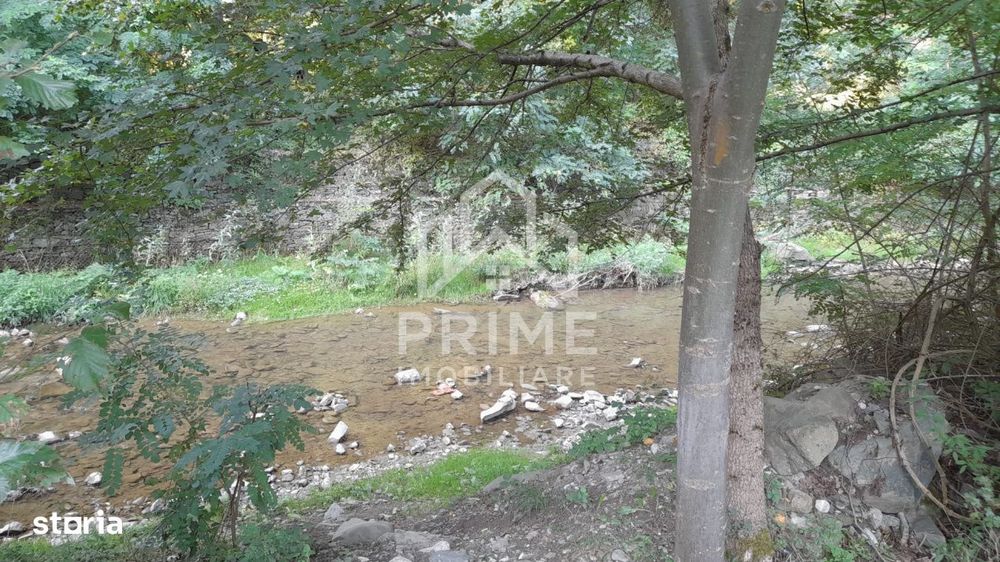 Teren intravilan 1240 mp | UTILITATI | Fata Pietrii | aproape Transapu