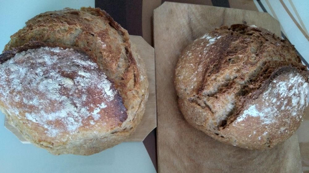 Paine cu maia de casa