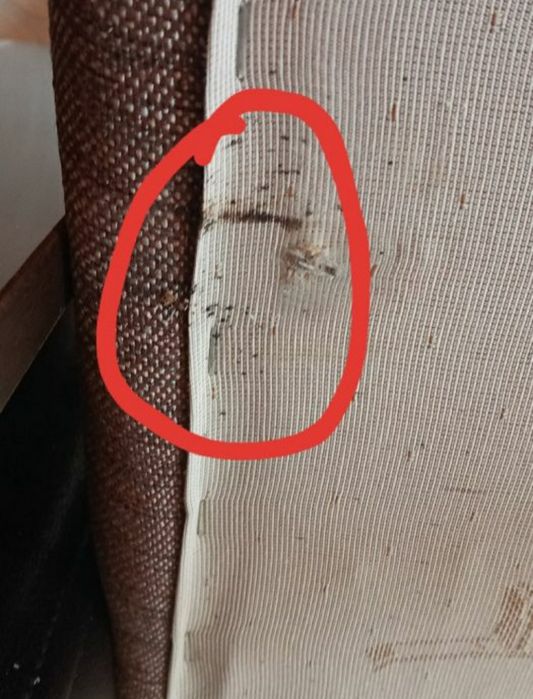 Dezinfeksiya Klapa va tarakan hidsiz