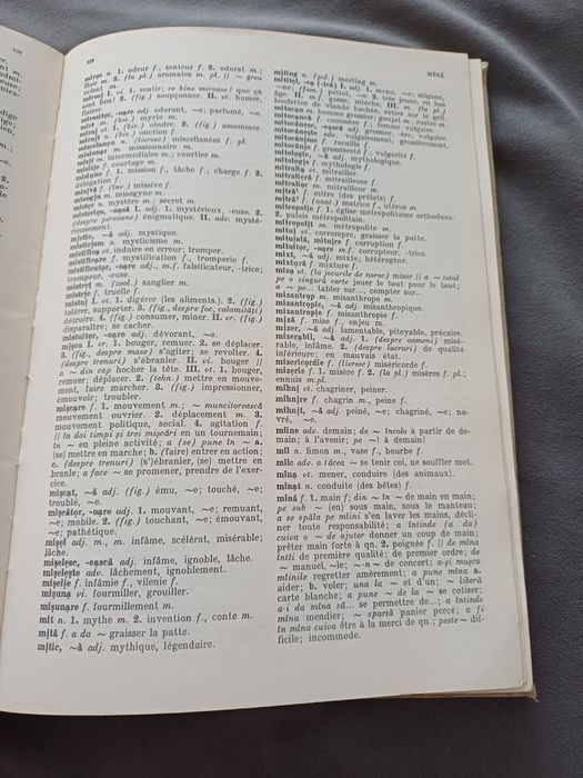 Dicționar francez-roman/roman-francez