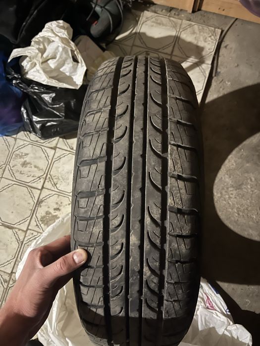 продам резину Tunga Zodiak 2