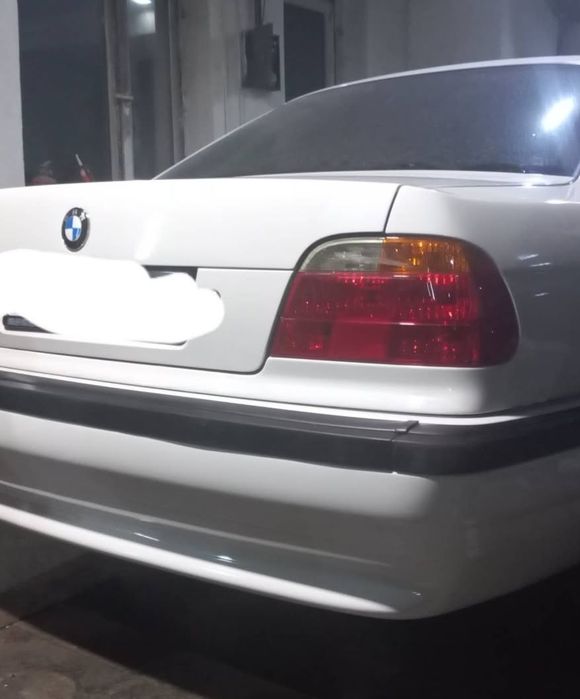 Костоправ, Маляр