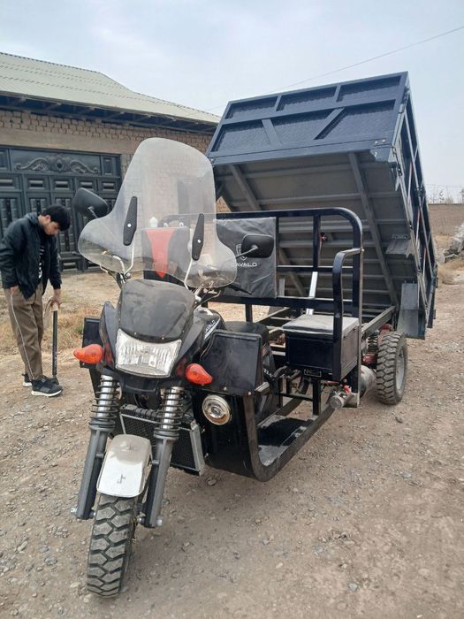 Cavalo muravey motoyuk tashuvchi