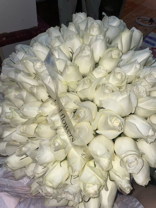 Цветы( свежий, розы)