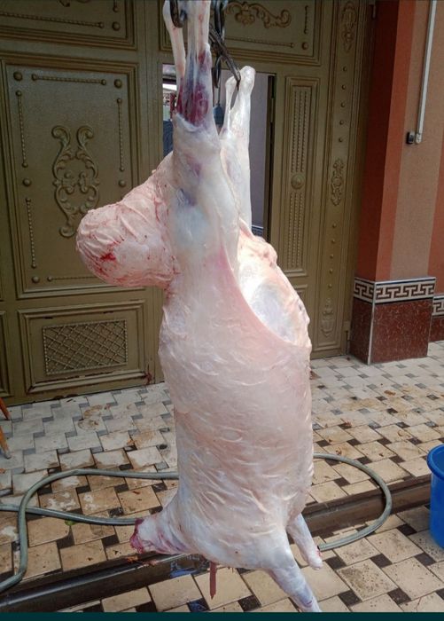Qassobchilik xizmatini taklif qilamiz toza va sifatli soyib beramiz