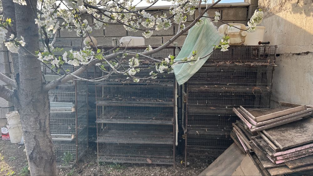 Клетки для перепелы, бодене сактауга тор