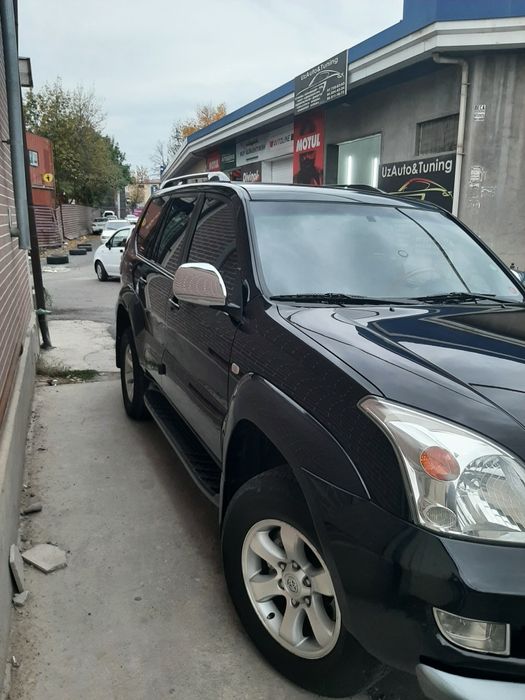 Pirado 2008 yil kiraskasi tozza