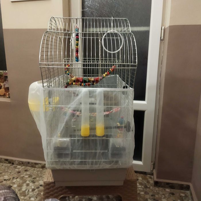 Оборудвана клетка за птици