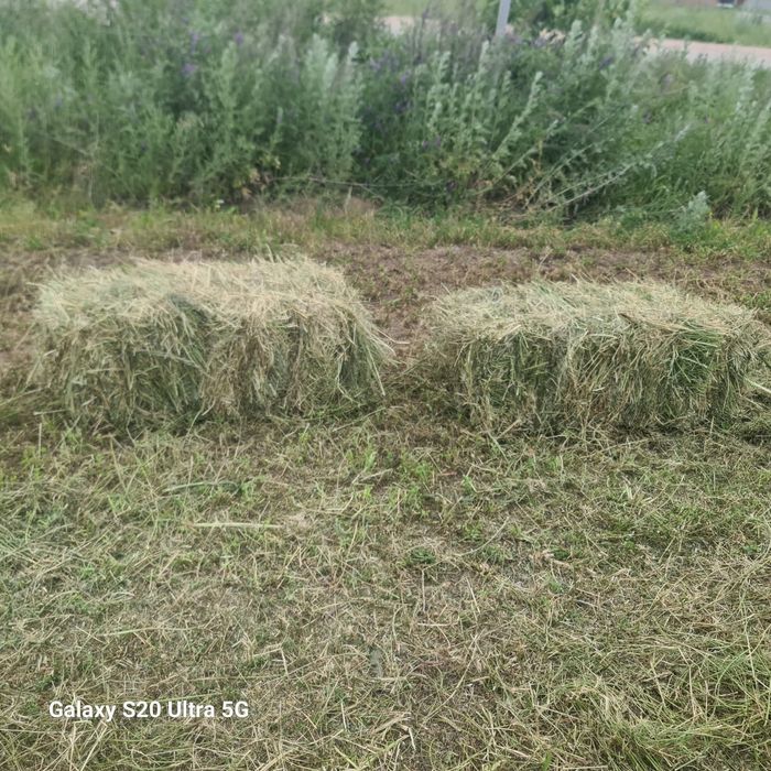 Жонышка 1200тг клейвер