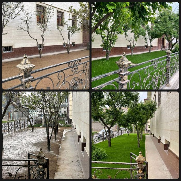 Газон посадка газон экамиз