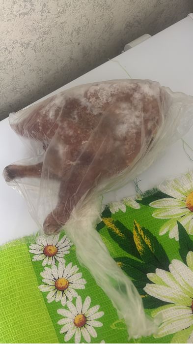 Тауық еті шымкент