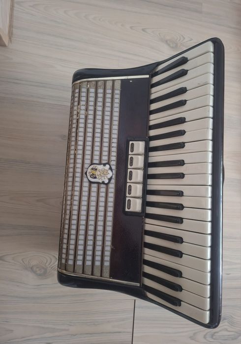 Weltmeister cu 120 basi