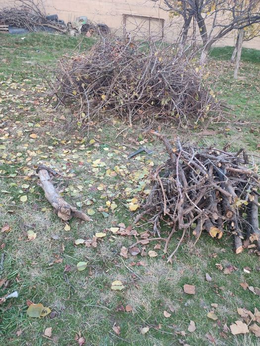 Отдам дрова бесплатно Отын тегін беремін