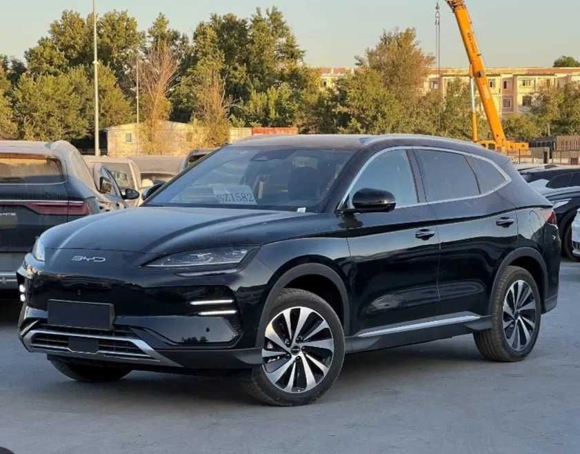 byd chempion pad zakaz