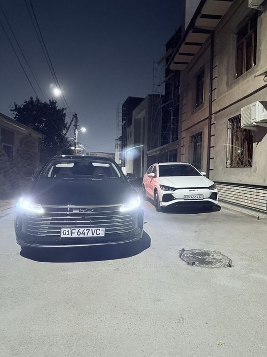 Rent car kunlik ijara bez prava