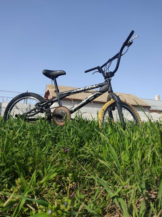 BMX Model: BX X-King