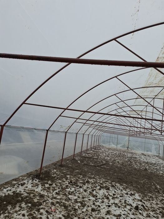 Construim  solarii pentru legume si flori la cheie