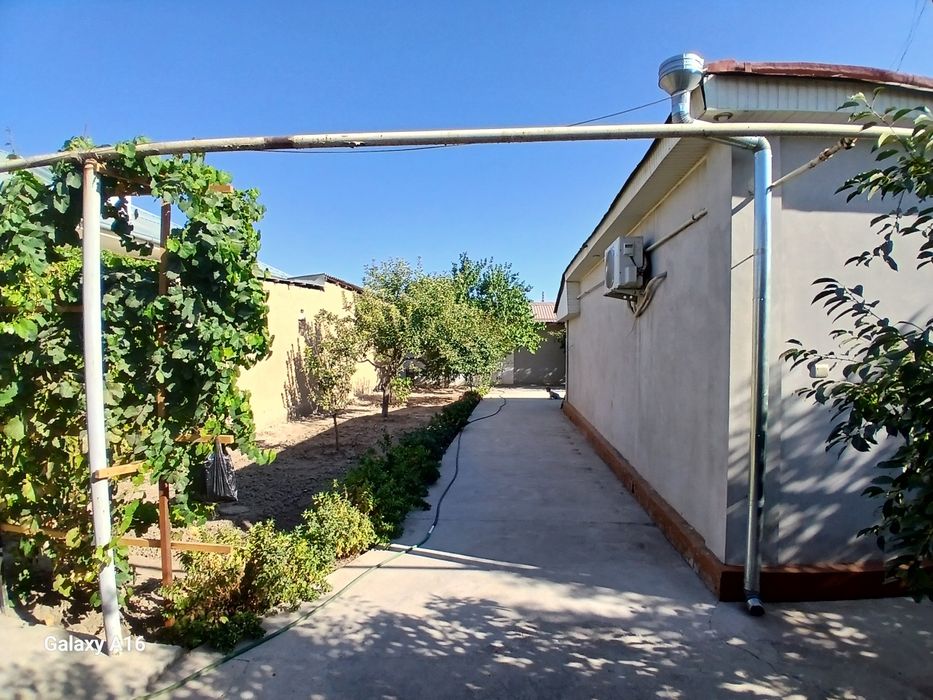 Дом, участок земли