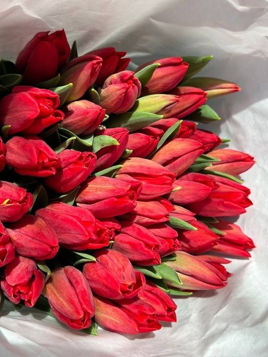 Тюльпаны Рудный 850 Предзаказ 8 марта