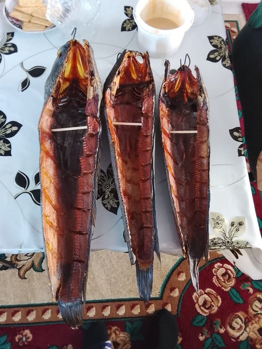 Капченыи балық халодныи капчения