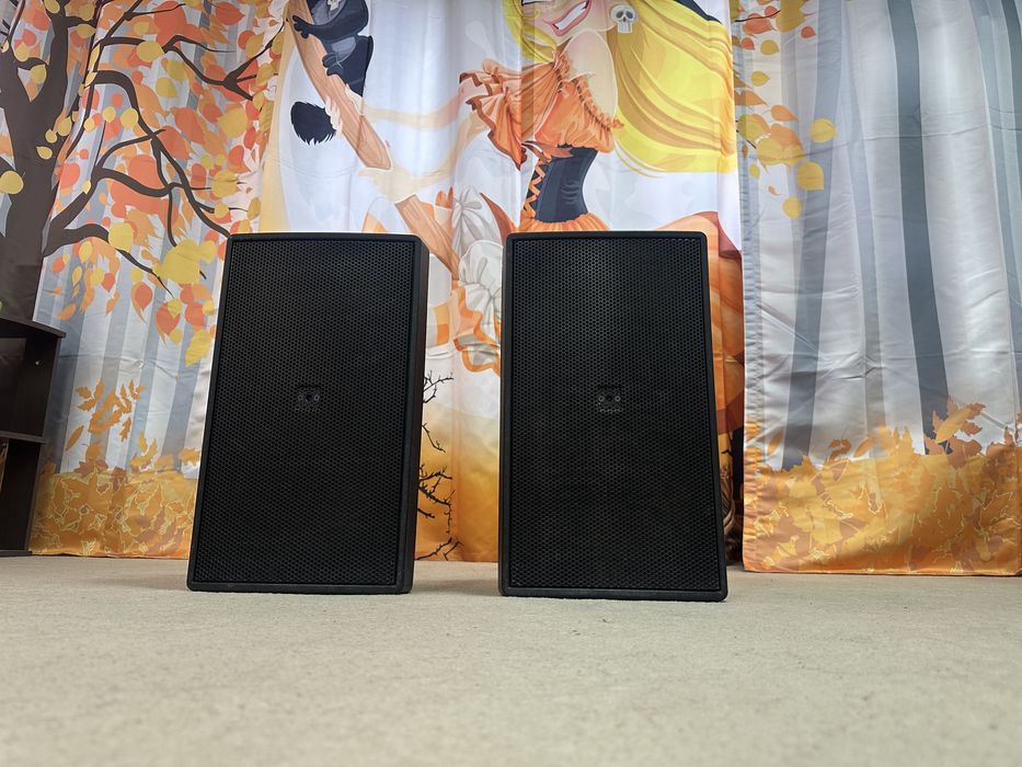 Оригинальная Проф. Акустика JBL Control 29AV-1