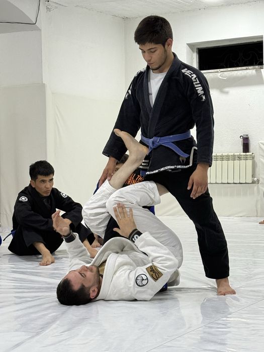 Джиу Джитсу / Jiu Jitsu