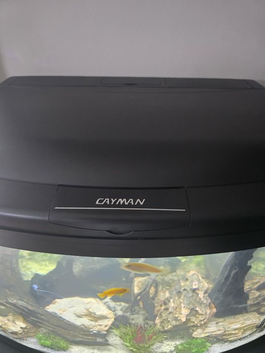 Vand urgent  Acvariu Cayman 135 L