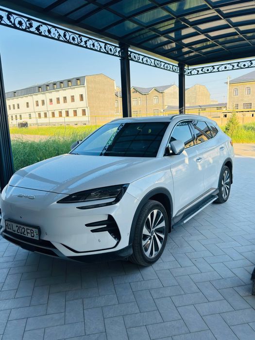 Other Song Plus Champion Edition 2024