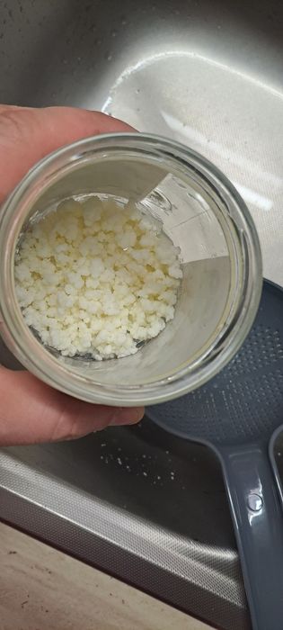 Donez ciuperca chefir