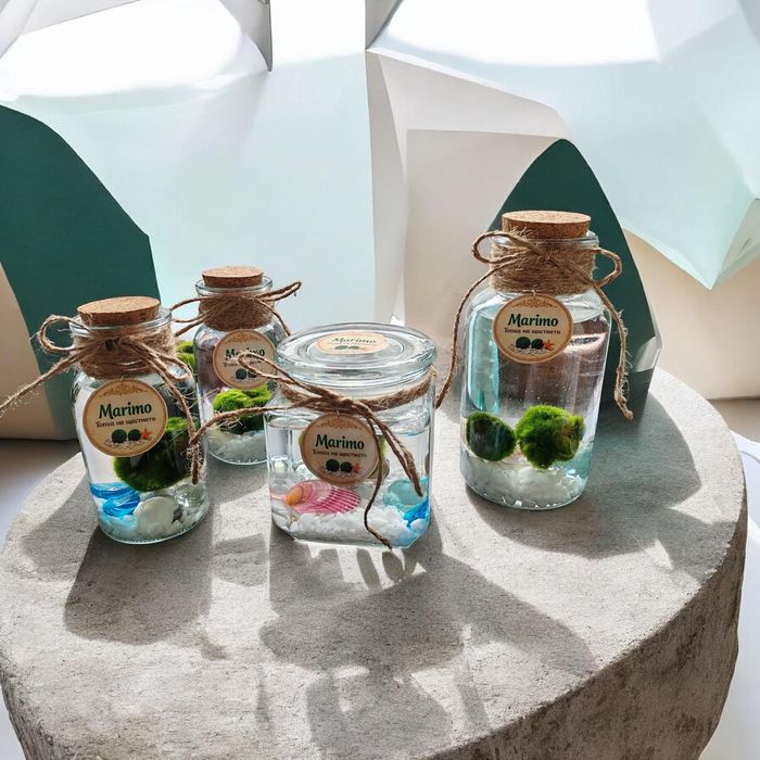 Marimo Топче на щастието