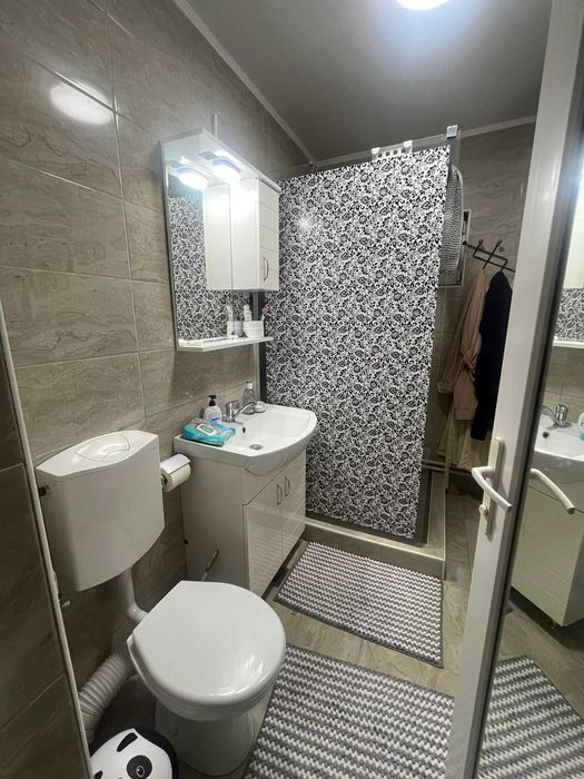 Casă spațioasă P+M, complet mobilată, curte amenajată, Satu Nou