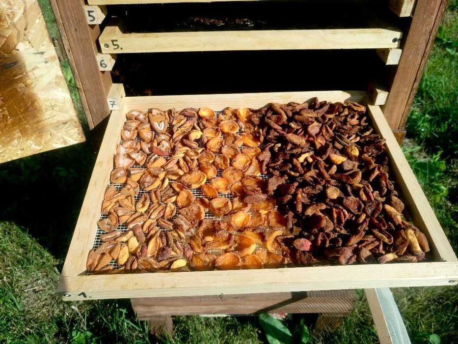 Fructe Uscate – 100% NATURALE