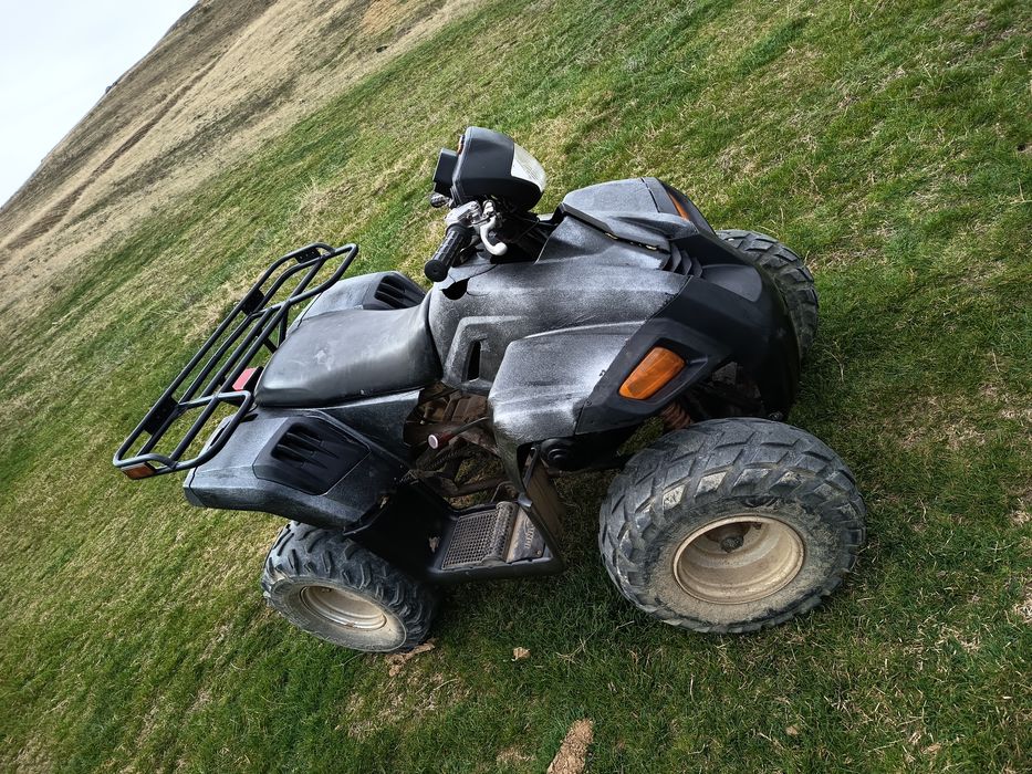 Atv DINLI  100 CM 2T