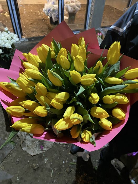 Букет Тюльпанов!!!