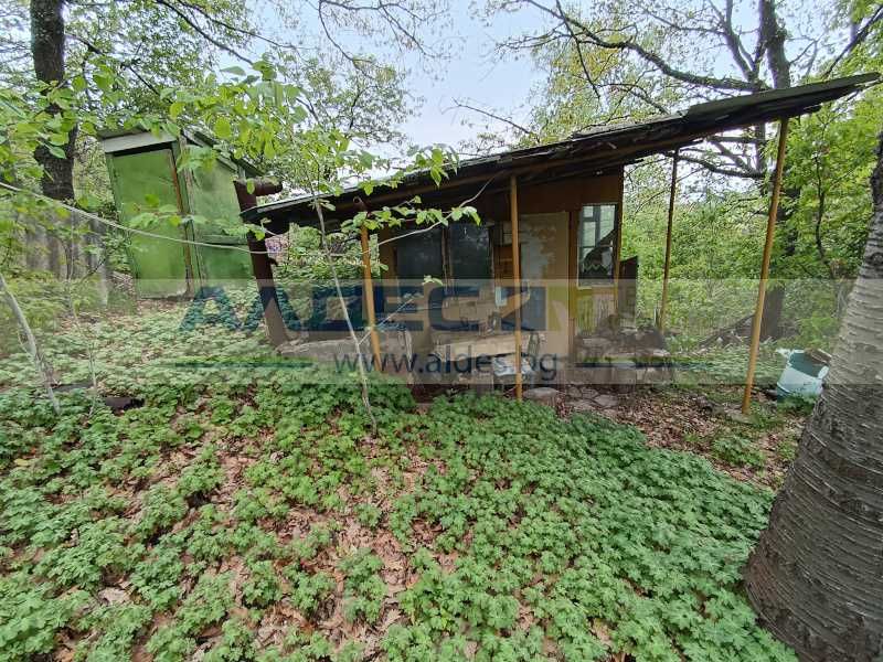 Продава се Парцел в с. Царичина, Област София-област - 1003 кв.м за 30 €/кв.м - Снимка #6