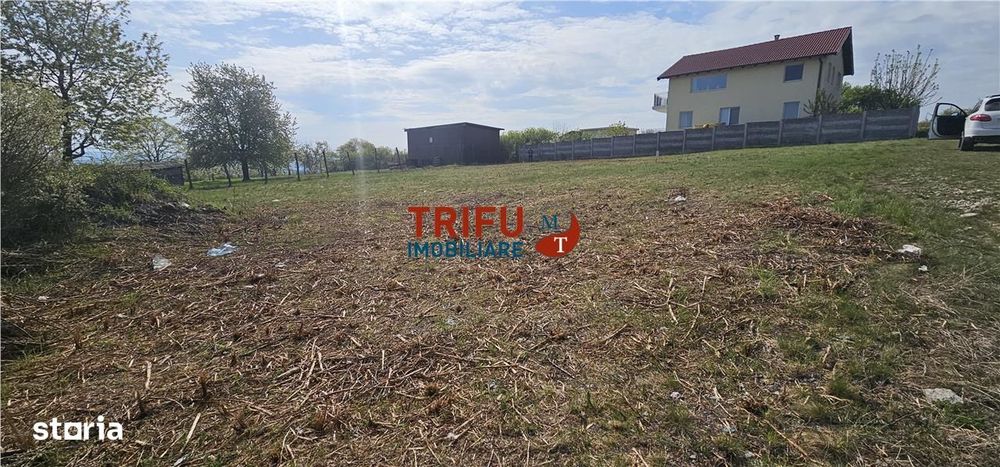 Oportunitate excelentă de investiție în Alba Iulia – zona Podei