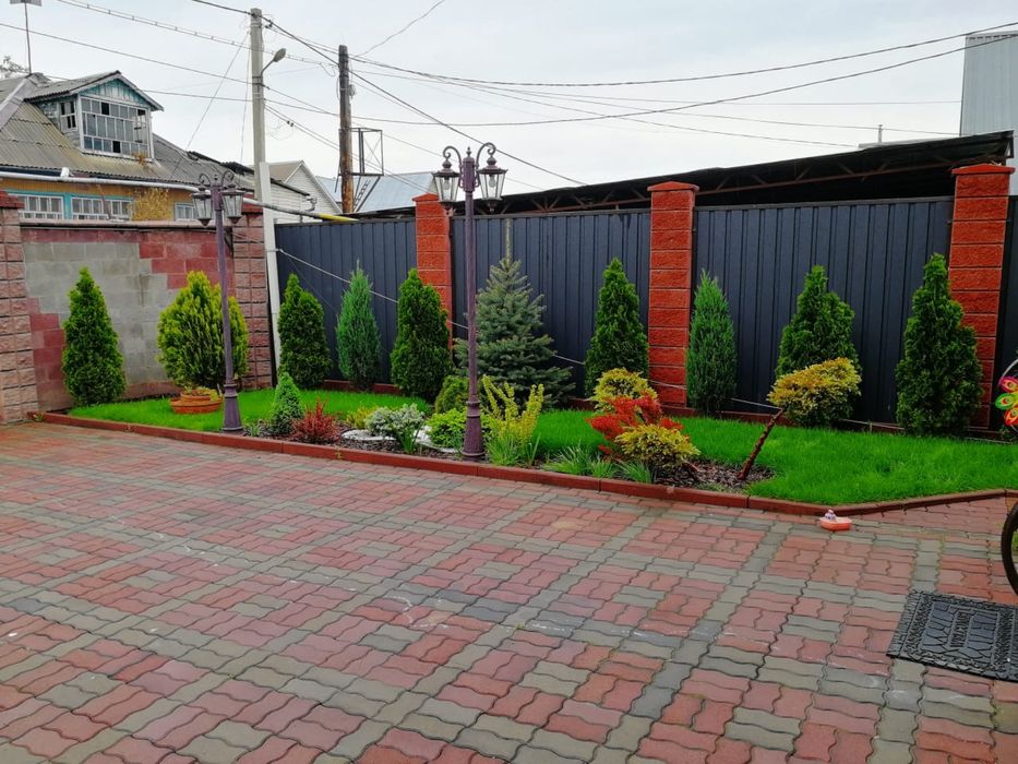 Газон под ключ сочный зеленый газон