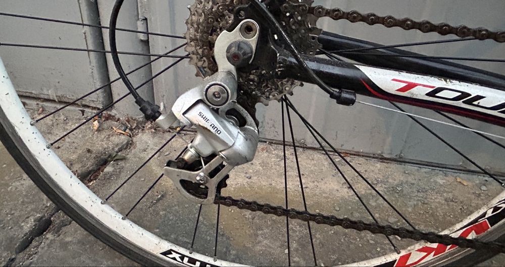 Bicicleta de sosea Cursiera