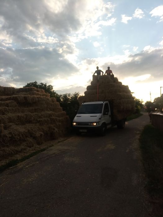 Baloti paie 2000 buc ,  8 lei buc ,, făn  20 lei buc ,lucerna 20 lei