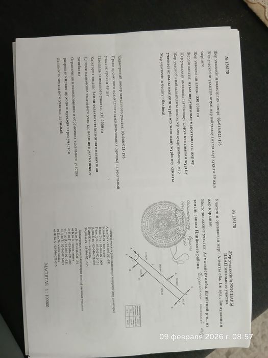 Продам фазенду со скотом