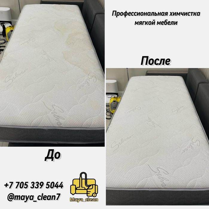 Аренда прокат моющего пылесоса и парогенератора