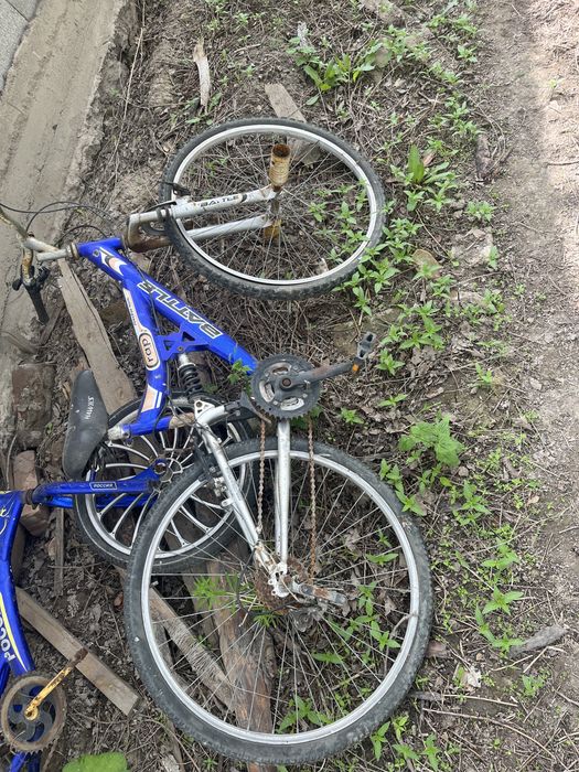 Продам 3 велика отдам за 10тыс 3