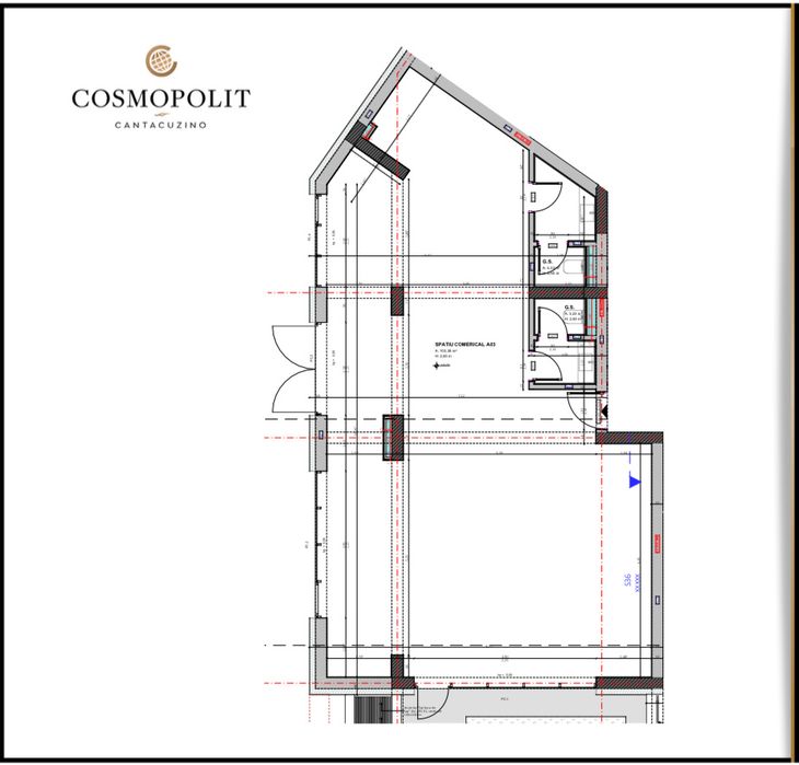 Spatiu comercial ultracentral Brasov inchiriere