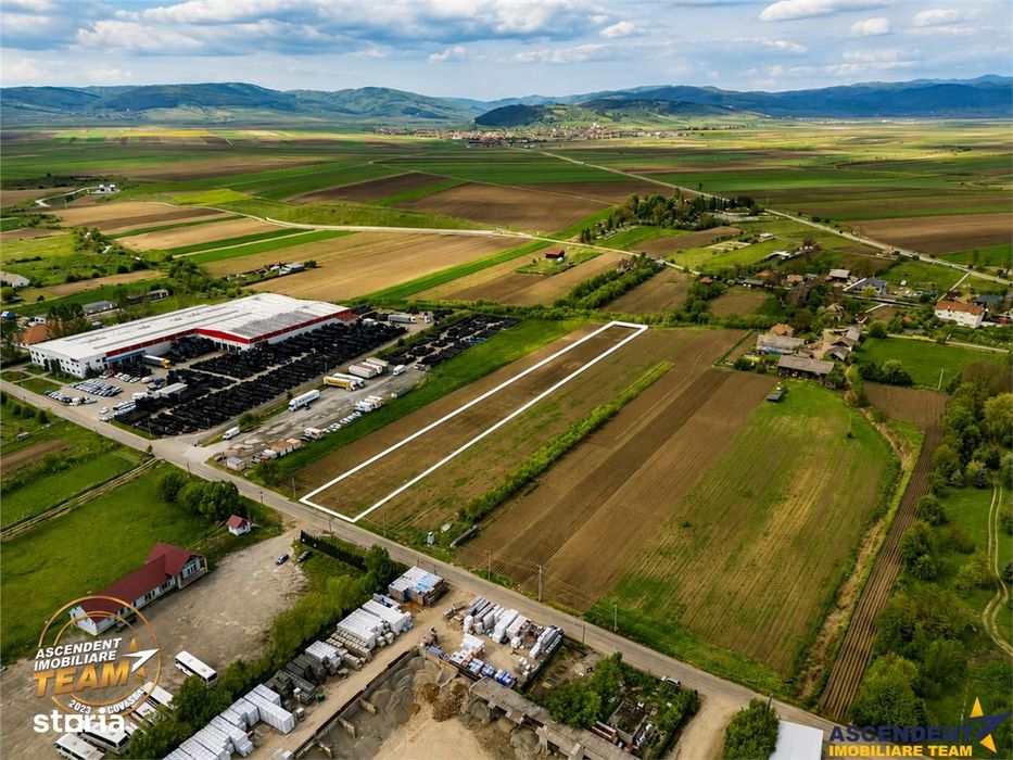 FILM! 5.000 mp teren, la marginea orasului Targu Secuiesc, aria indust