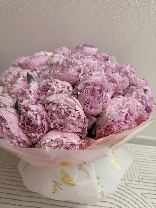 Продаю будет из пионов 41 шт