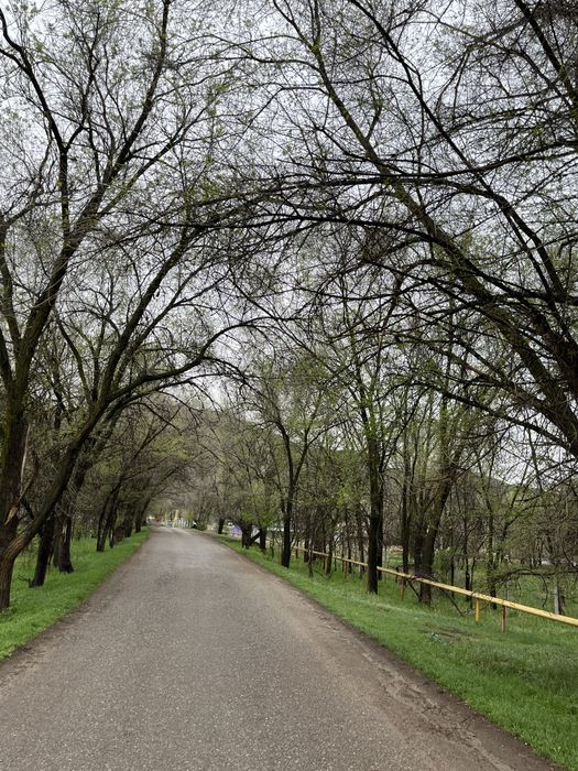 дом продам живописное место