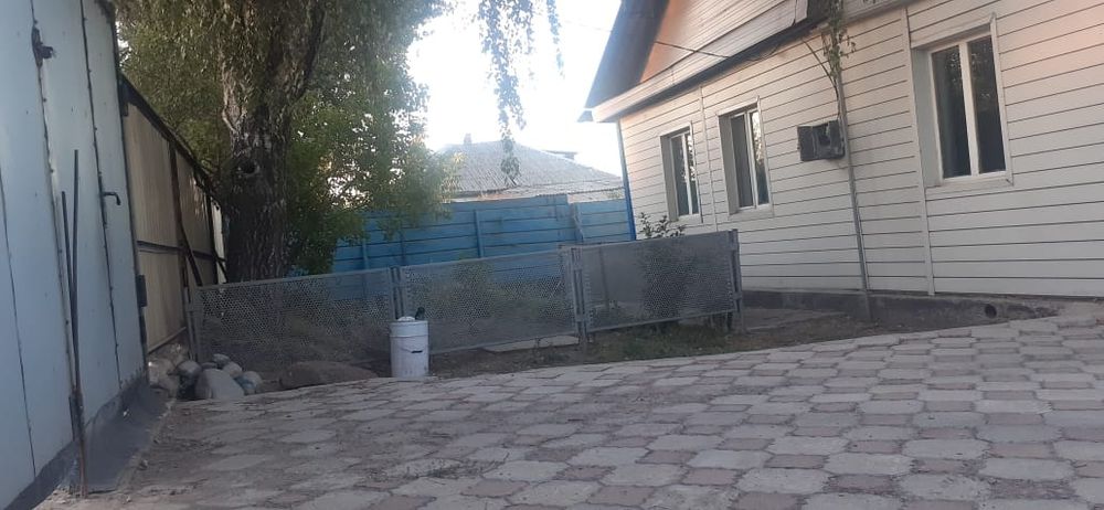 Уй сатамын Байсеркеде уй сатамын